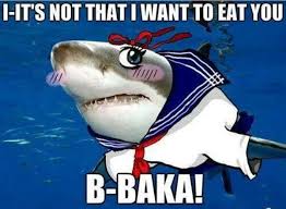 Baka | Know Your Meme via Relatably.com