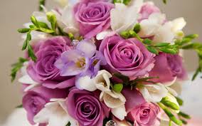 Image result for beautiful flowers