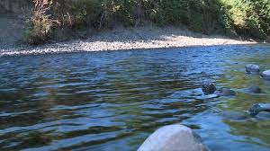 water restrictions B.C. Implements Water Restrictions Along Vancouver Island River to Safeguard Salmon and Trout Population