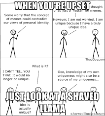 When you&#39;re upset Just look at a shaved llama - Memes | Meme Generator via Relatably.com