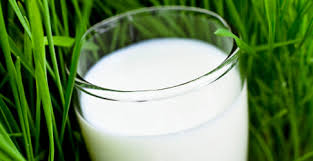 Résultat de recherche d'images pour "Produits laitiers hypocaloriques conseillés pour régime"