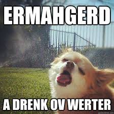 Thirsty Dog memes | quickmeme via Relatably.com