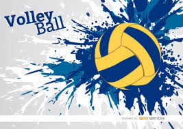Image result for volley