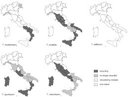 ﻿Distribution and taxonomy of the Italian clovers belonging to ...