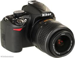 Best Camera for Beginners, Nikon D3100