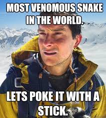 Most Venomous snake in the World. Lets poke it with a stick ... via Relatably.com