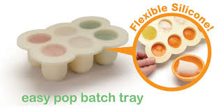 Image result for baby bullet puree storage