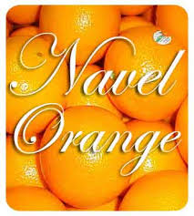 NAVEL Oranges