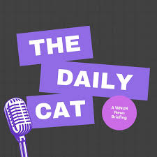 The Daily Cat