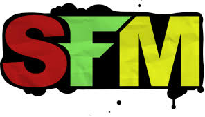 Image result for SFM