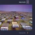 A Momentary Lapse of Reason