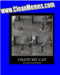 Footloose Kitty | Clean Memes – The Best The Most Online via Relatably.com