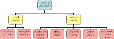 value of biodiversity