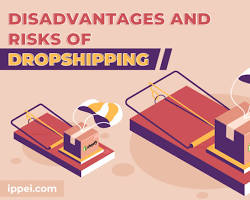 Low risk of dropshipping business