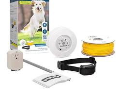 PetSafe YardMax Rechargeable In-Ground Pet Fence– 30% More Space – Covers 1/3-Acre Yard – Expandable up to 10 Acres – For Pets 5 lbs. and Up – From the Parent Company of INVISIBLE FENCE Brand