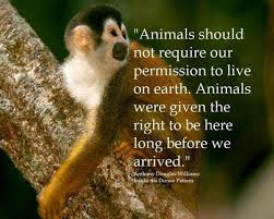 Image result for jane goodall quotes