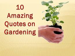 Ten Amazing Garden Quotes and Sayings - YouTube via Relatably.com
