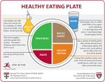 Comparison of the Healthy Eating Plate and the. - Harvard Health