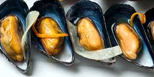 Image result for blue mussels
