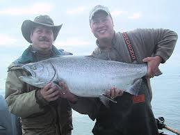 Image result for columbia river king salmon images