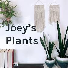 Joey’s Plants