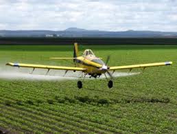 Image result for pesticide