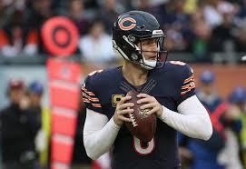 Image result for jay cutler bears