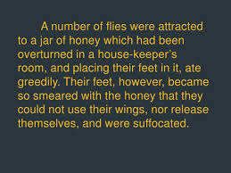 Image result for flies on the honey pot image