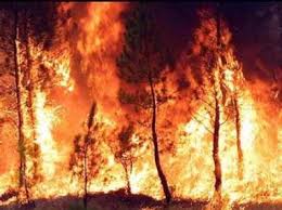 Resultado de imagen para fotos de incendios en campos provincia santiago rodriguez