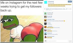 4chan&#39;s Frog Meme Went Mainstream, So They Tried to Kill It ... via Relatably.com