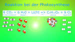 Wissen macht Ah! - Photosynthese - WDR