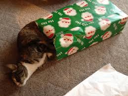 Image result for cats and wrapped presents