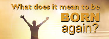 Image result for born again