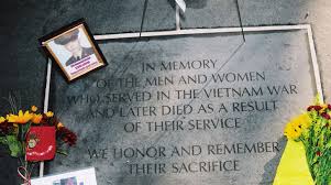 Image result for Free Images of Vietnam Veterans Logo