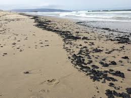 Image result for ktla Substance washed ashore in Manhattan beach