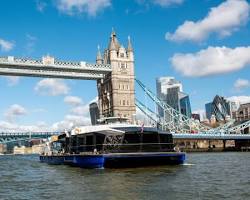 Image of Thames River Cruise, London Bridge
