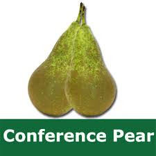 PEAR Conference