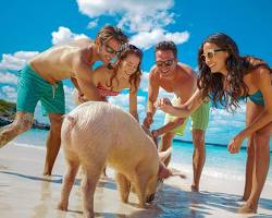 Gambar group of people enjoying the beach in the Bahamas
