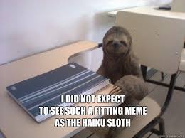 I did not expect To see such a fitting meme As the haiku sloth ... via Relatably.com