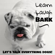 Learn, Laugh, Bark
