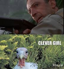 Image - 222510] | Clever Girl | Know Your Meme via Relatably.com