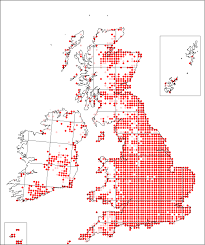 Silene latifolia | Online Atlas of the British and Irish Flora