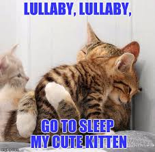 Image result for lullaby meme