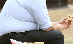 Image result for overweight