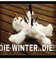 VIBE-Vixen-Cold-Weather-Meme.png via Relatably.com