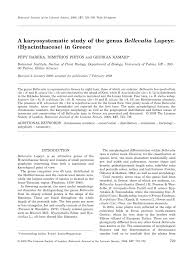 (PDF) A karyosystematic study of the genus Bellevalia Lapeyr ...