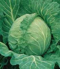 Image result for cabbage in market