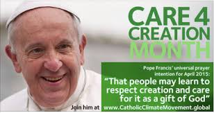 Image result for pope climate change