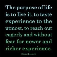 Image result for purpose