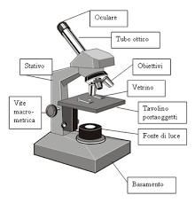 Il microscopio nella scuola